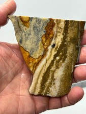 Disaster Peak Picture Jasper Slab Cabbing Lapidary Collecting Combo Ship Avail