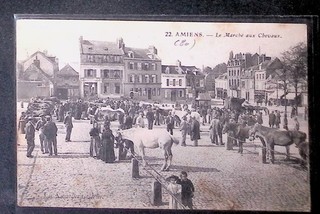 CPA AMIENS Le marché aux chevaux