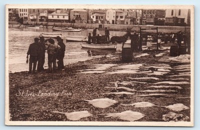 POSTKARTE ST IVES - LANDUNGSFISCHE - FISCHE AM STRAND ANGELEGT