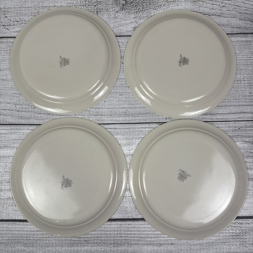 Set Of 8 - Corelle ABUNDANCE 8 1/2” Plates Salad Luncheon - Picture 5 of 6