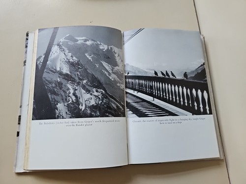 Alpine Pilot By Hermann Geiger 1956 HB Book Cassell & Co - Picture 16 of 22