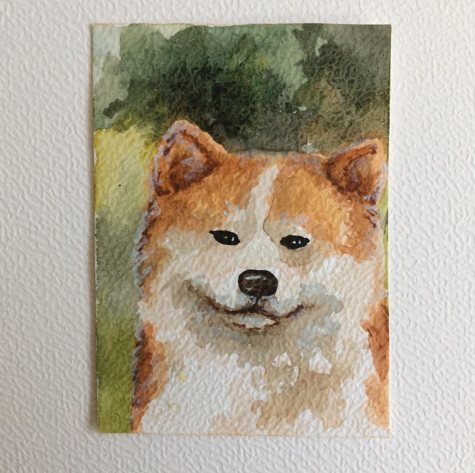 aceo original painting dogs Watercolor. Portrait of a Red Akita Inu Pet portrait - Image 2 of 4