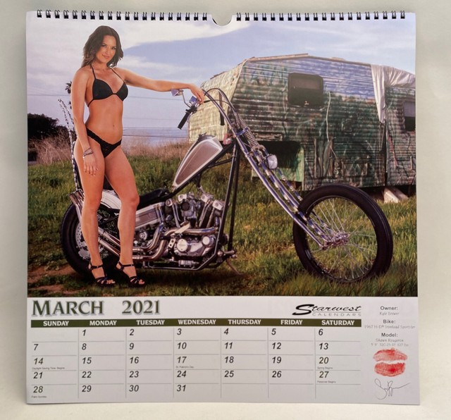 New 2021 Dreamgirls Calendar Large 15" X 15" Wall Calendar 16 Month