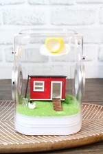 Jumping Spider Enclosure, Insect Terrarium, Bug Enclosure, Spider Cage, Jumping