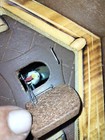 Foto 9 di 13