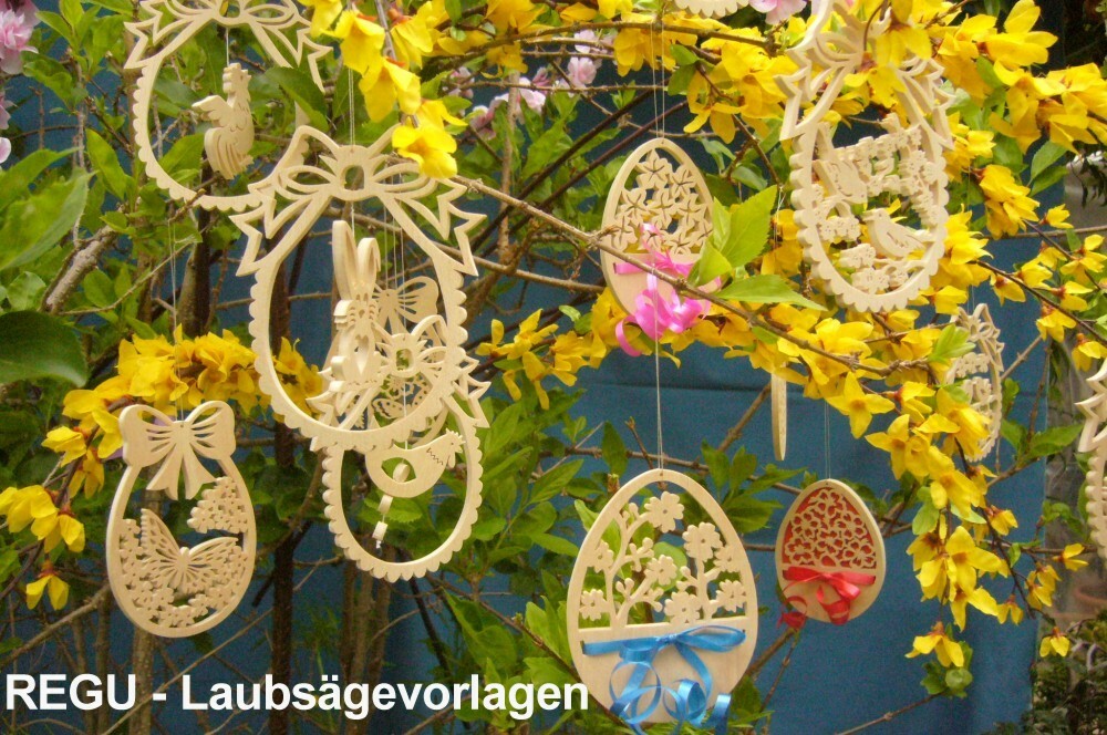 Bild 6 von 12