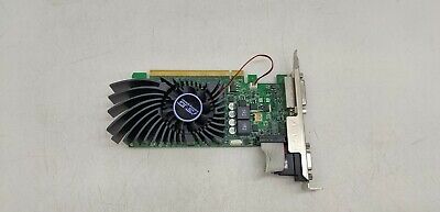 ASUS NVIDIA GeForce GT740 4GB DDR3 DVI/VGA/HDMI PCI-Express Video Card |  eBay