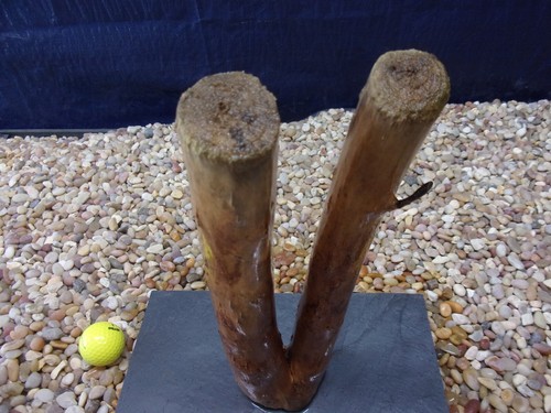 Pre-Soaked Sinking Driftwood, Mounted on Slate, Aquarium, Reptile, Natural, Art - Picture 6 of 6