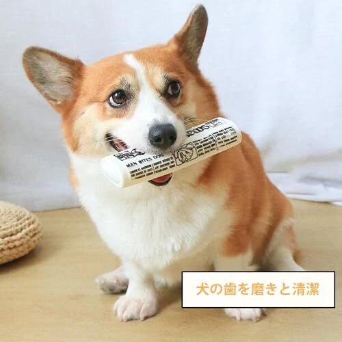 Dog Toy Chew Toy Newspaper Toy for Dogs Educational Toy Stress Relief - Picture 5 of 8