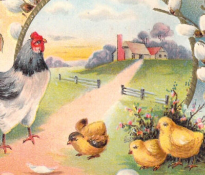 Rooster Hatched Chicks Cotton Easter Embossed Conwell Vintage Postcard A3