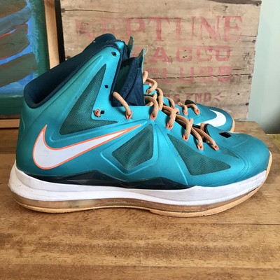 lebron 10 dolphins
