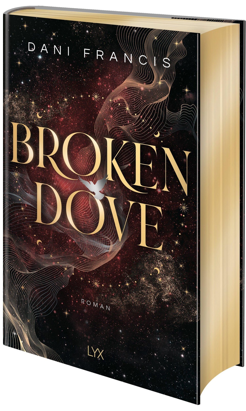 Dani Francis ~ Broken Dove - Bild 4