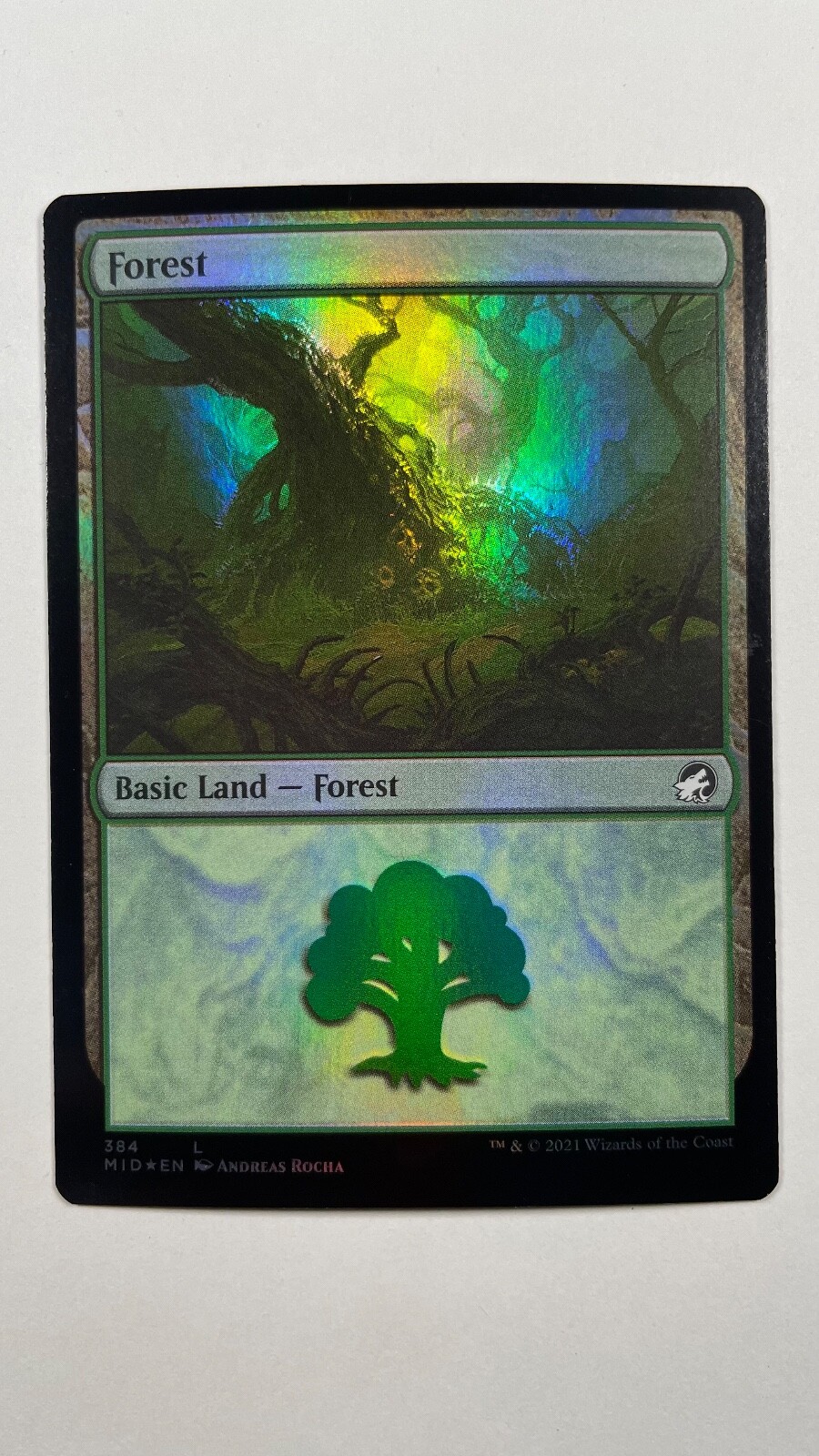 MTG Innistrad Midnight Forest Foil #384 Magic the Gathering