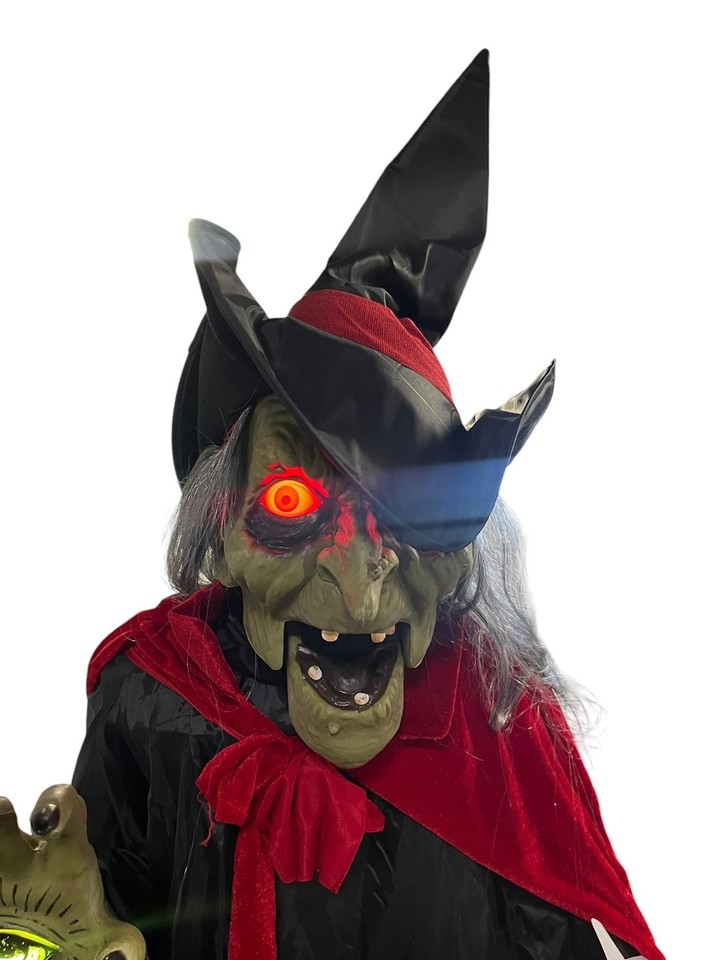HOME ACCENTS 7 Foot Animated SPELLCASTING Witch with LED Technology and