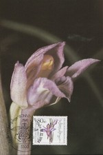 Maximumkarte Bundesrepublik 18. Oktober 1984: Orchideen Der Violette Dingel