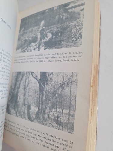 Backward Glances mason Glen Falls Queensbury.Champlain canal. History Adirondak - Picture 18 of 19