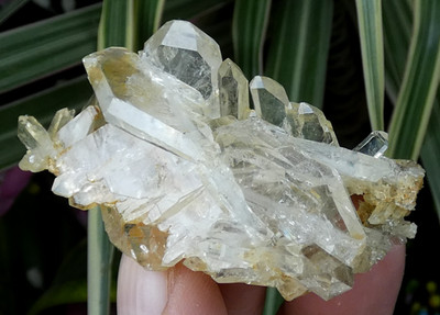 Crystallized Soul Quartz Top Set 6x3cm France Old Collection Rare