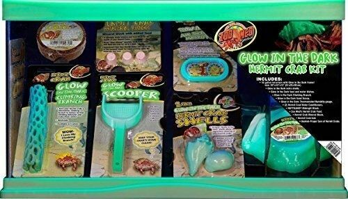 zoomed hermit crab kit