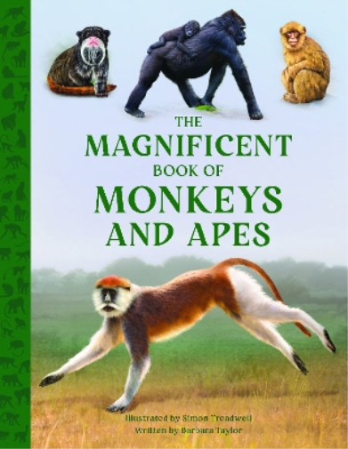 Barbara Taylor The Magnificent Book of Monkeys and Apes (Copertina rigida)