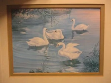 BEAUTIFUL 4 SWANS IN LAKE FRAMED UNDER BEVELLED GLASS 13 X 11''