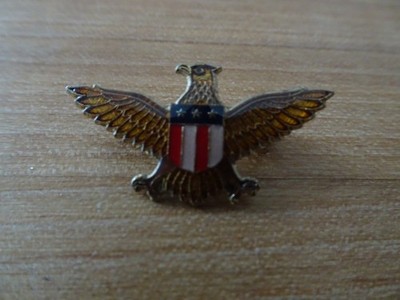 PIN /Anstecker USA Adler American Eagle Biker