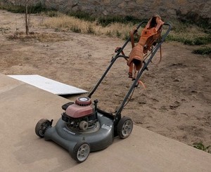 Old Gas Lawn Mower