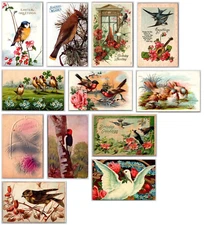 Victorian Holliday Bird (Lot 12) Gold Finch , Doves , Blue Jay Robbin ~ xmas etc