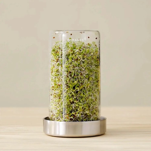 Forages Sprout Jar Kit Sprouting