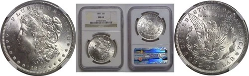 1882 Morgan Dollar   NGC MS-65