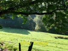 Photo 6x4 Narrow valley Llanrhaeadr-ym-Mochnant The River Rhaeadr runs ea c2008