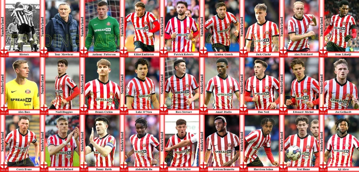 Sunderland squad deals