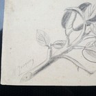 Picture 3 of 10