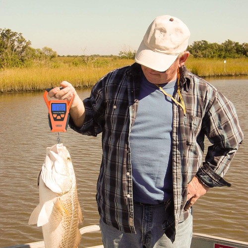 Fish Scale Waterproof: Luggage Weight Scale with Bigger Handle and Hook Upgra... - Picture 2 of 9