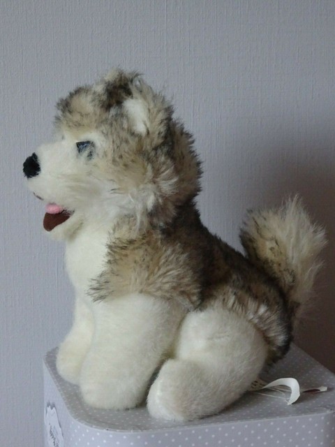 Peluche Chien De Traineau Free Delivery Goabroad Org Pk