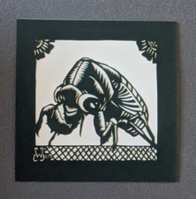 William Schaff Cicada 2009 Tiny Showcase