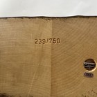 Picture 5 of 5