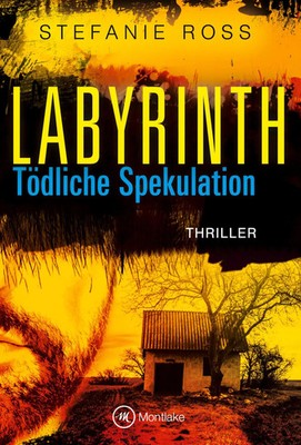 Labyrinth Tödliche Spekulation Stefanie Ross Taschenbuch 422 S. Deutsch 2015