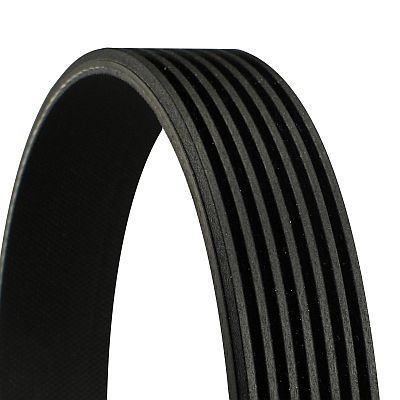 CONTINENTAL 7PK1080 V-Ribbed Belt Fits Alfa Romeo 145 146 155 156 166 GTV Lancia