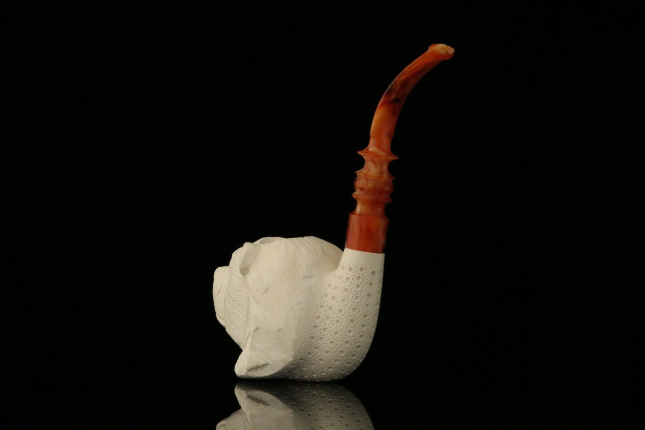 Foto 10 di 11
