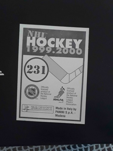 Panini NHL Hockey 1999 2000 99 00 ELIGE CUALQUIER PEGATINA CASI NUEVA/COMO NUEVA #201-360# - Imagen 57 de 297