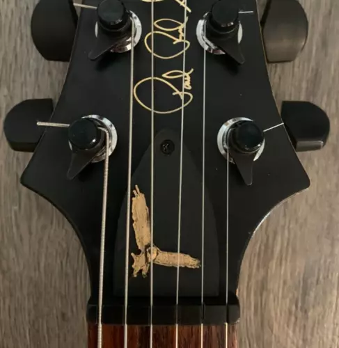 GUITAR TRUSS ROD COVER - EAGLE - FITS PAUL REED SMITH PRS USA CUSTOM PLASTIC 3D