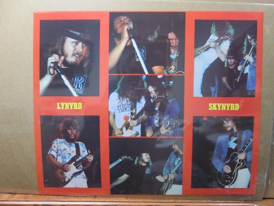 Vintage Poster Lynyrd Skynyrd rock band 1970's collage Inv#G2650