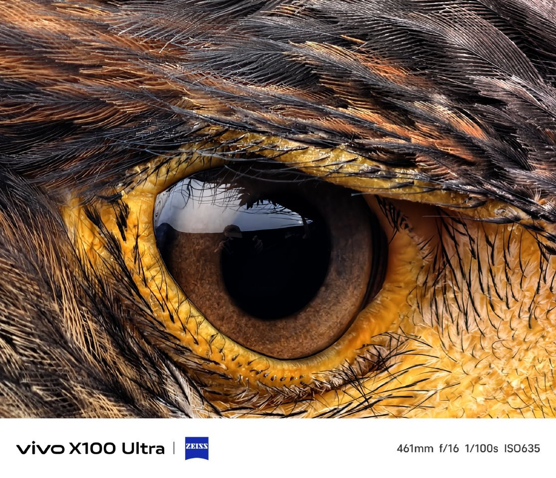 vivo X100 Ultra 5G Snapdragon 8 Gen 3 IP68 Waterproof 6.78 vivo X100 Ultra 5G Snapdragon 8 Gen 3 IP68 Waterproof 6.78