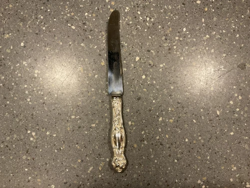 ~1 ~ INTERNATIONAL FRONTENAC DINNER SIZE KNIFE ~ 9 7/8"