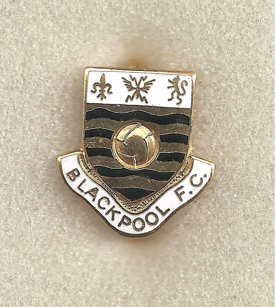 Brooch Brooch Brooch Brooch Badge Badge Pins Épingles En Émail