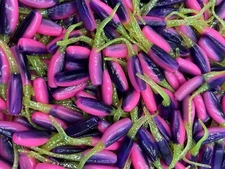 100 pk 2" Popsicle Stinger Shad Crappie Fishing Bluegill Perch