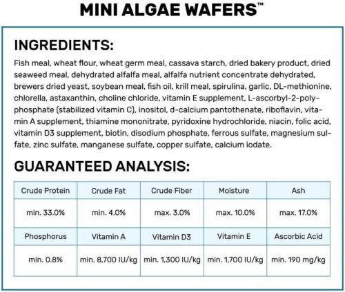 Nutrient-Rich Tropical Mini Algae Wafers Fish Food for Bottom Feeders - 2.2 lb - Picture 4 of 8