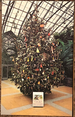 Postcard Educational Christmas Tree Krohn Conservatory Cincinnati, OH A18
