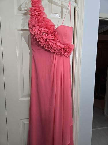 REGENCY Bridgeton Coral Ruffled Pleated Waist Sash Prom Party Gown Sz6 - Picture 2 of 8