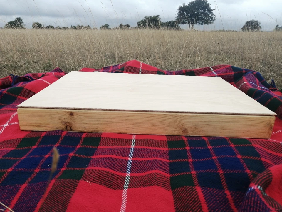 Play Therapy Sand Tray Jungian handmade Low Profile  with Lid - Image 4 of 4